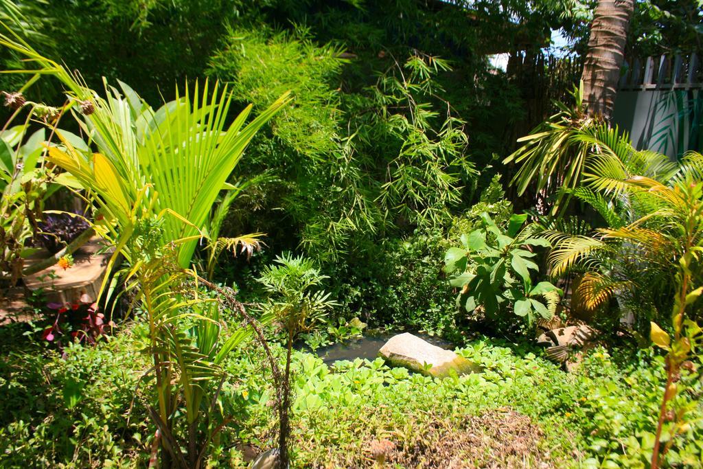 Firefly Guesthouse - The Berlin Angkor Siem Reap Bagian luar foto