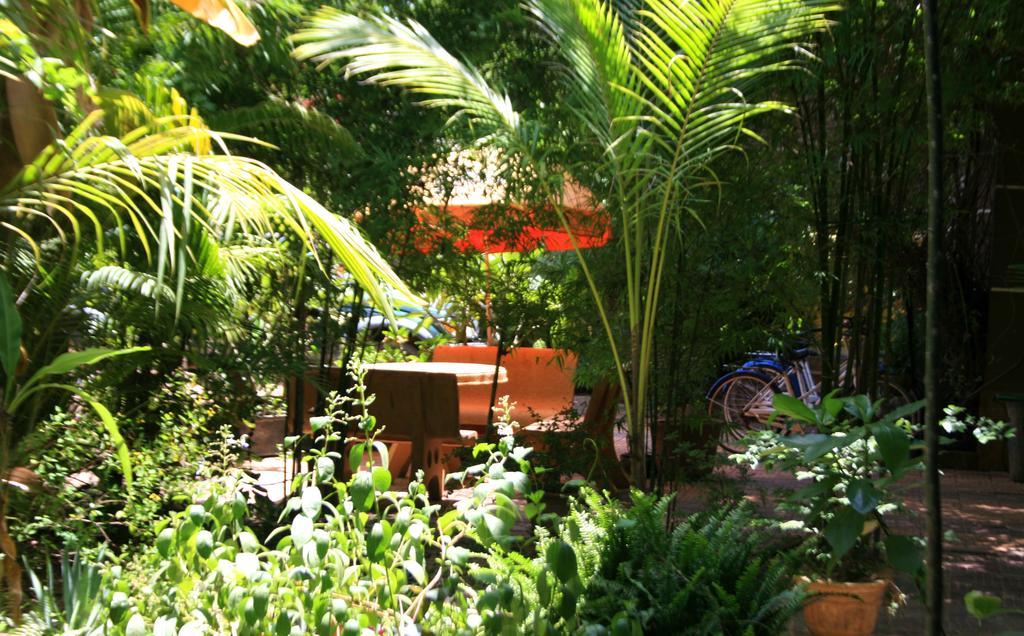 Firefly Guesthouse - The Berlin Angkor Siem Reap Bagian luar foto