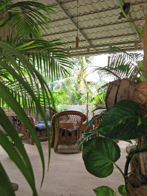 Firefly Guesthouse - The Berlin Angkor Siem Reap Bagian luar foto